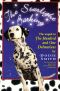 [The Hundred and One Dalmatians 02] • Starlight Barking